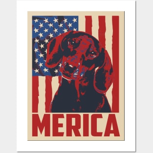 Dachshund Merica 4th Of July Posters and Art